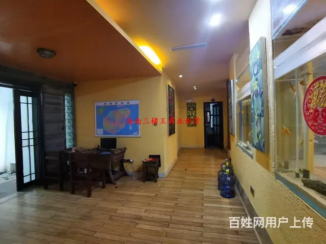 （三横王）占地2亩，1000平大独栋，值得拥有 - 图片 7