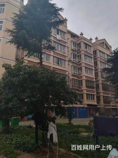 长江通道旁泰兴江东府湿地公园，单价六千五到七千，户 - 图片 9