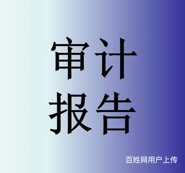 23年投标审计报告，先办理满意再付款，免费修改 - 图片 1