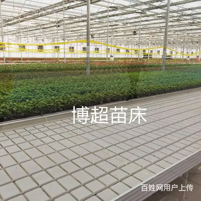 温室育苗潮汐灌溉苗床ABS育苗盘规格可定制 - 图片