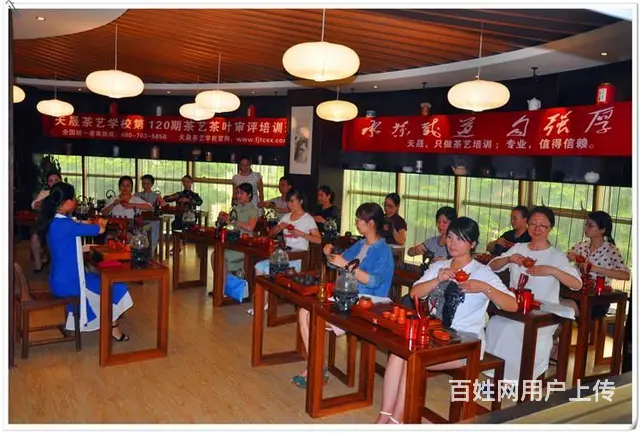 2024年11月茶艺培训师培训班的招生简章 - 图片 8