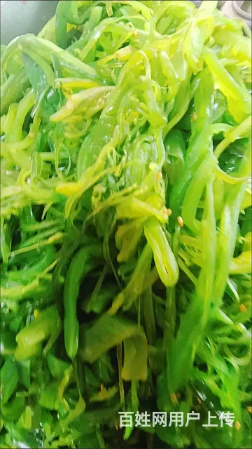 新华市场吉峰辣白菜急兑 - 图片 12