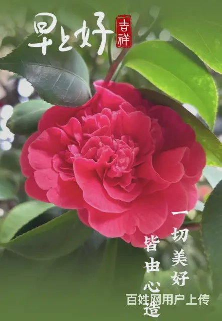 大本营早餐来了 - 图片