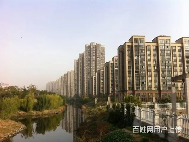 清水湾三期 精装修 户主置换急售 采光 南北通透 - 图片 4