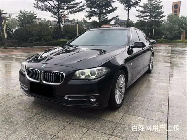 宝马5系 2014款 525Li 2.0T 手自一体 豪华设 - 图片 5