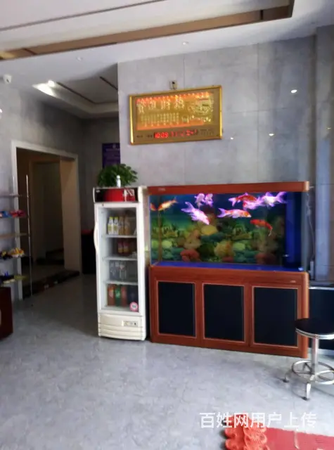 永吉主街旺铺门市出售浴池宾馆出售 - 图片 6
