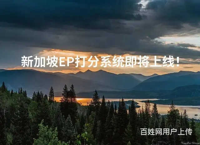 新加坡EP打分系统即将上线 - 图片