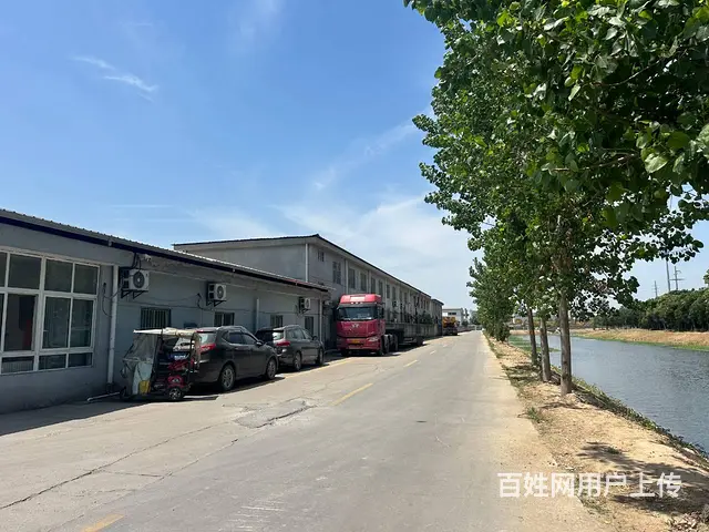 （城市在线找房免费）金山桥开发区桥南头附近标准厂房出租 - 图片 9