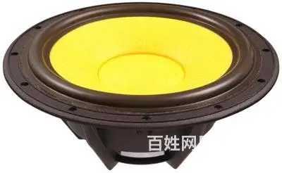 99新HiVi 惠威 D10G 中低音喇叭一对 - 图片 3