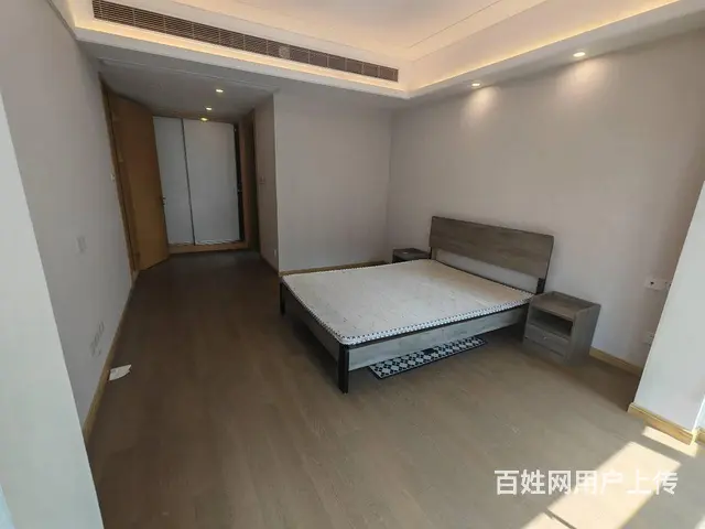 武昌万象城，武昌滨江，绿地606，徐家棚地铁口，宸 - 图片 10