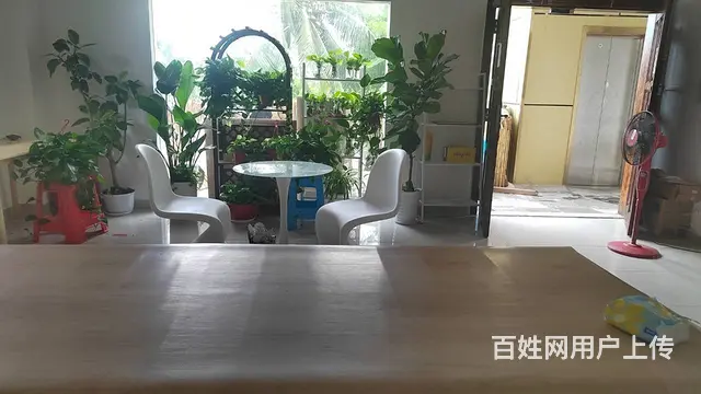 （51旺铺推荐）大真岭50平空铺出租 - 图片 8