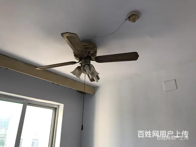 出租住房和储藏室 - 图片 10