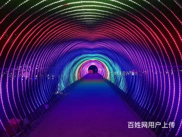 绍兴网红打卡灯光展出租 灯光展厂家 - 图片 2