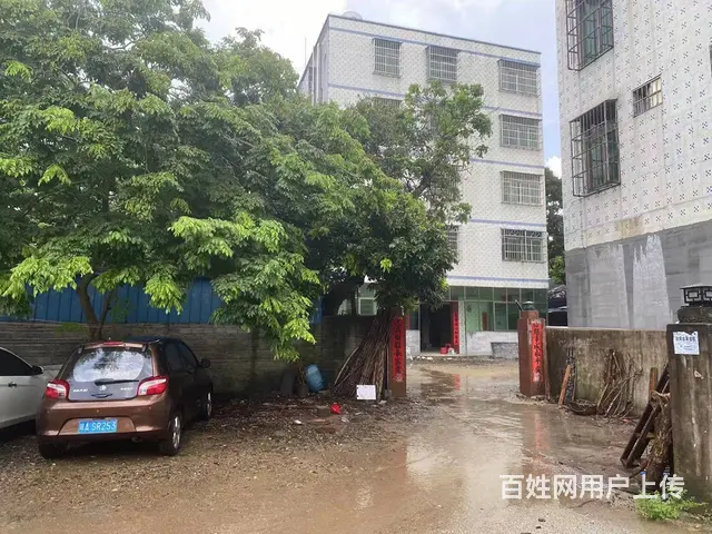 （51旺铺推荐）琼山区滨江路南200平仓库低价出租 - 图片 11