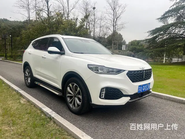 WEY VV6 2018款 2.0T 双离合 两驱旗舰型 - 图片 3