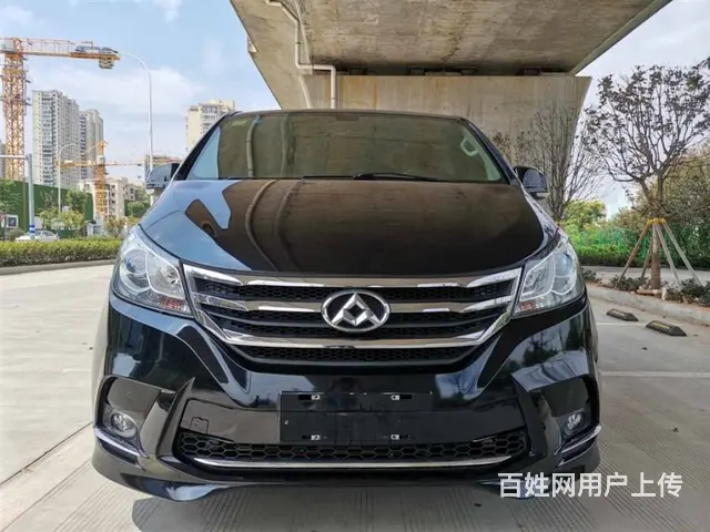 大通G10 2021款 2.0T 手动 智享版7座 - 图片 1