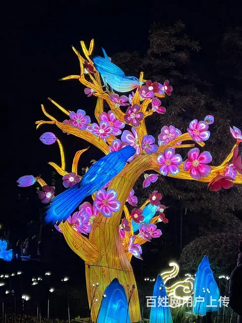 2025景区文旅大型花灯彩灯灯光秀供应商 - 图片 5