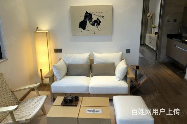 溧阳新推豪华住宅可公积金售楼处直签未来核心曹山未来城 - 图片 7
