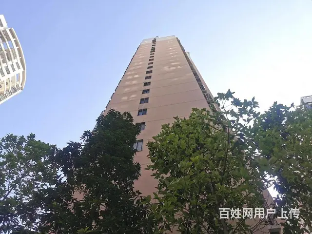 稀缺南北。笋租 - 图片 11