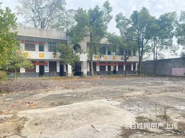 (房东直租)白箬铺319国道占地6亩场地，学校，可随时改厂房 - 图片 5
