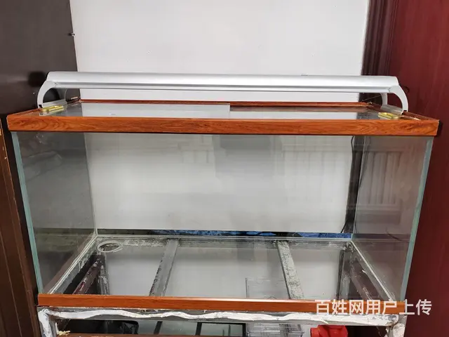 鱼缸 - 图片 2