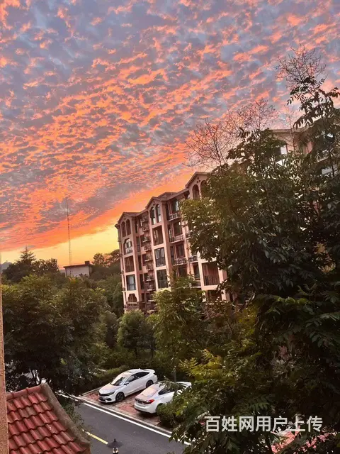 坐落于风景区小区环境优美 - 图片 2