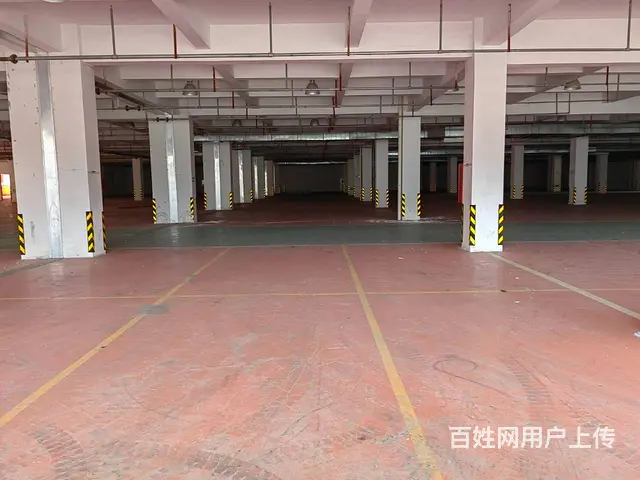 高新区高架8000平，可分租，形象好，有坡道，汽车可开上楼。 - 图片 9