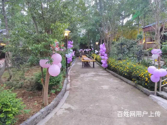 （精选好铺)安州区秀水镇环境优美农家乐转让 - 图片 11
