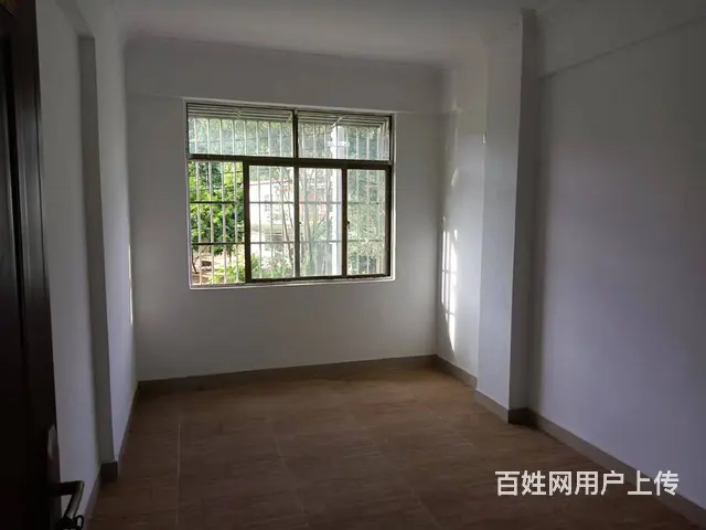（51旺铺推荐）南丁村400平整栋出租 - 图片 9