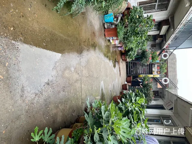 工作室类型环境清幽 - 图片 3