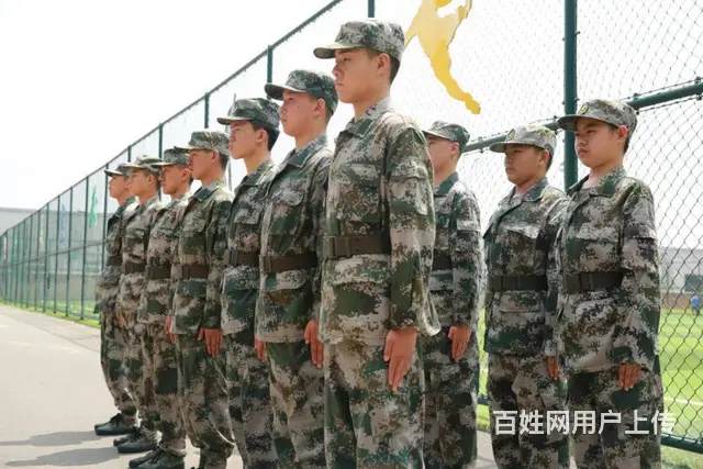成人全日制单招学历提升，大专本科多种专业任选升学 - 图片 4