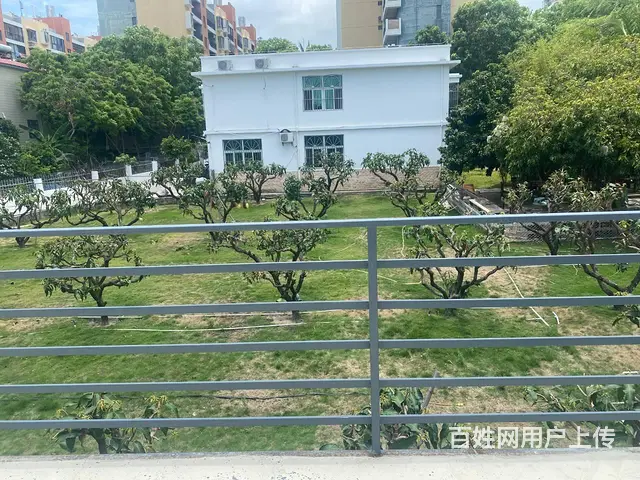 （51旺铺推荐）新开田2000平场地加500平铺面出租 - 图片 11