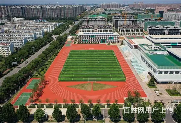 世界田联认证代表什么 - 图片
