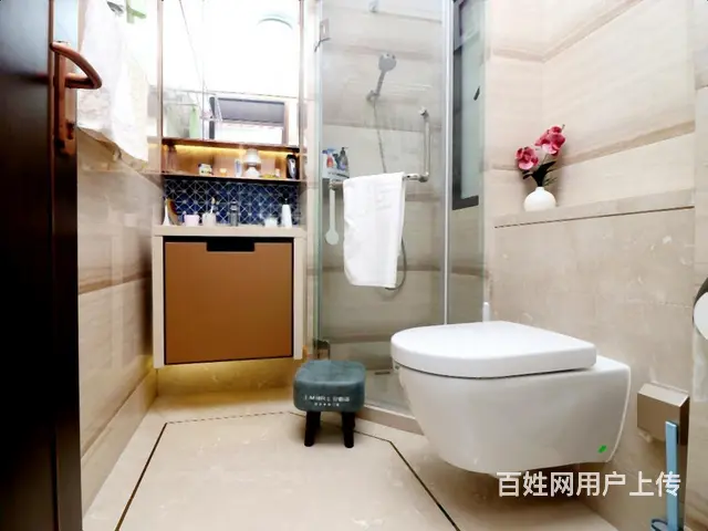 嘉里城旁 朗诗科技住宅 恒温系统 近地铁 长寿桥 - 图片 10