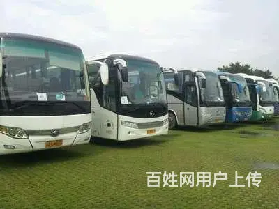 邳州车辆出租报价，新车出租 - 图片 3