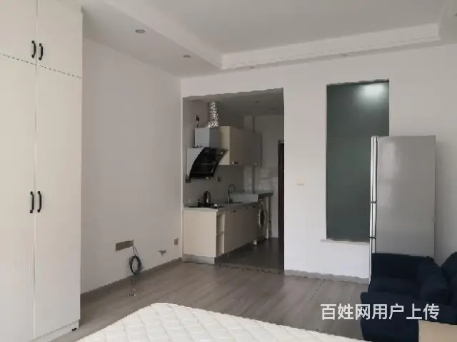 丽月湖岸单身公寓出租 - 图片 1