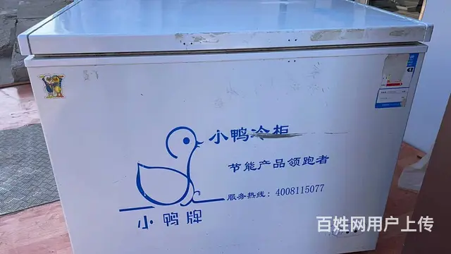 小鸭冰柜 - 图片 1