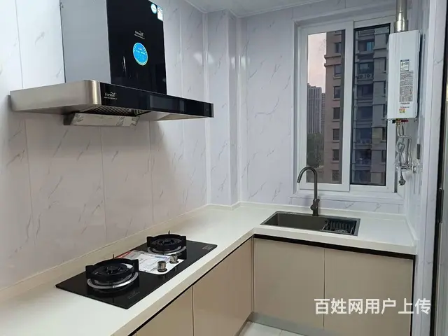 翠湖嘉苑二期 南湖中学 出租 - 图片 3