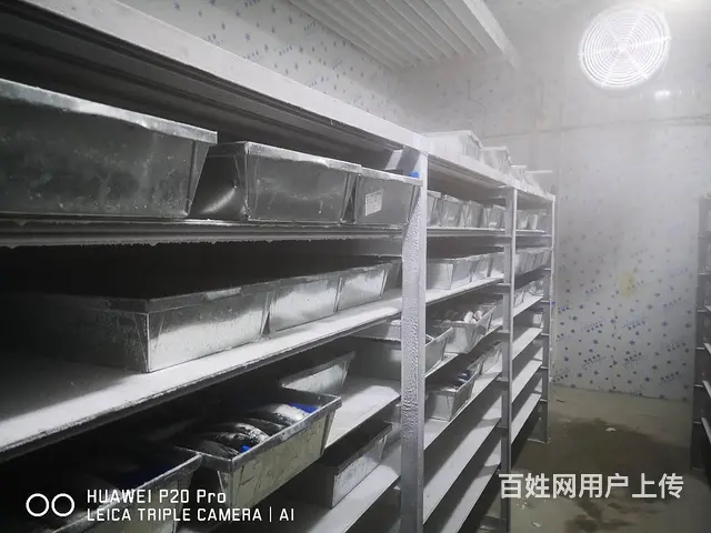 全揭阳市冷库工程、维修、保养。制冷设备出售 - 图片 3