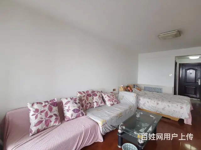 1+1公寓1厅 电梯精装1居 精装修 - 图片 2