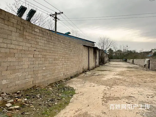（老板本人）岳麓区含浦场地带整栋房屋出租  6167 - 图片 12