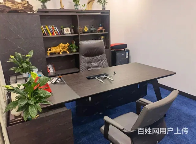 道里新阳路欧洲新城门市出售 - 图片 4