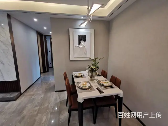 凯迪铂悦府市政府旁高端品质双吾悦广场轻轨站点首付低户型漂亮 - 图片 8