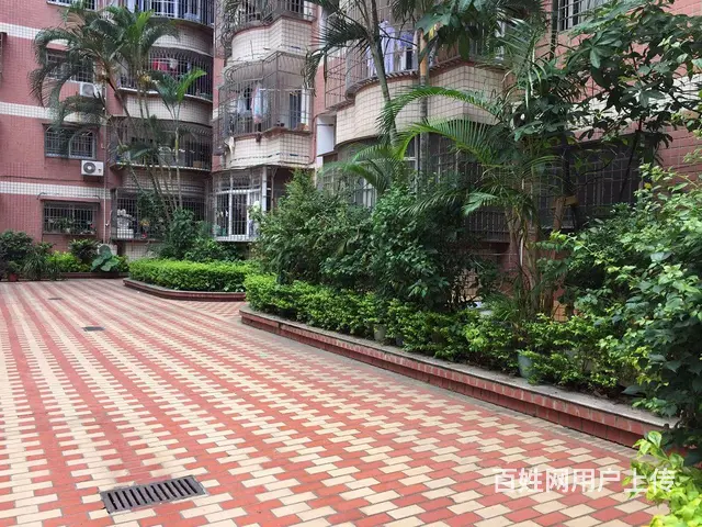 思北 源隆花园 采光好 好晾晒 独立卫生间 银行中心附近 - 图片 5