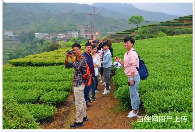 福建省泉州市安溪天晟茶艺培训学校 - 图片 11