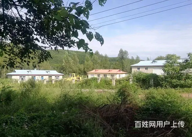 阿城黄榆沟养殖场出售 - 图片 2