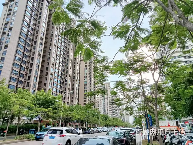 （51旺铺推荐）西海岸远大购物广场62平旺铺出租 - 图片 2