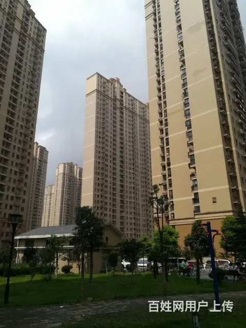 正岳家嘴口 山河大厦 蓝晶绿洲 华腾园 东沙花园 - 图片 12