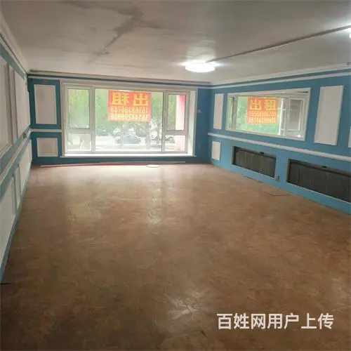 昌邑区上海路花鸟鱼市场对面门市出售 - 图片 5