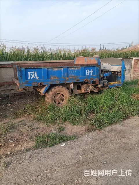 时长时风，三轮儿。 - 图片 2